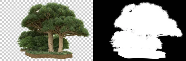 在背景上与面具隔离的树 3D渲染 — 图库照片
