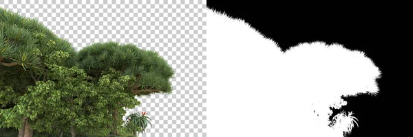 Alberi Isolati Sfondo Con Maschera Rendering Illustrazione — Foto Stock