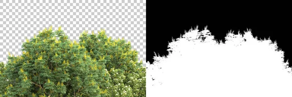 Stromy Izolované Pozadí Maskou Vykreslování Ilustrace — Stock fotografie