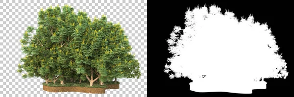 Дерева Ізольовані Фоні Маскою Візуалізація Ілюстрація — стокове фото