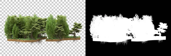 Δέντρα Απομονωμένα Φόντο Μάσκα Απόδοση Εικονογράφηση — Φωτογραφία Αρχείου