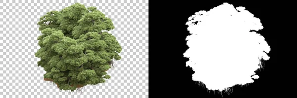 Árvores Isoladas Fundo Com Máscara Renderização Ilustração — Fotografia de Stock
