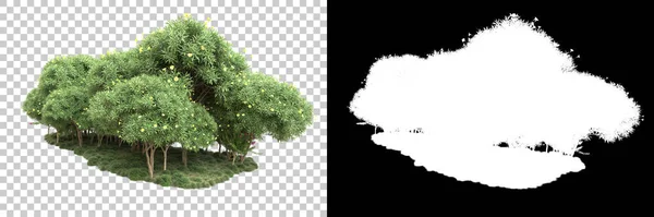 Ліс Ізольований Фоні Маскою Візуалізація Ілюстрація — стокове фото