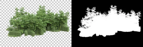 Δάσος Απομονωμένο Φόντο Μάσκα Απόδοση Εικονογράφηση — Φωτογραφία Αρχείου