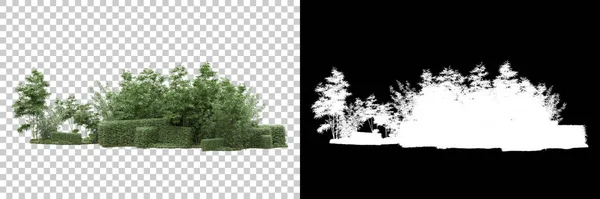 Bosque Aislado Sobre Fondo Con Máscara Representación Ilustración —  Fotos de Stock