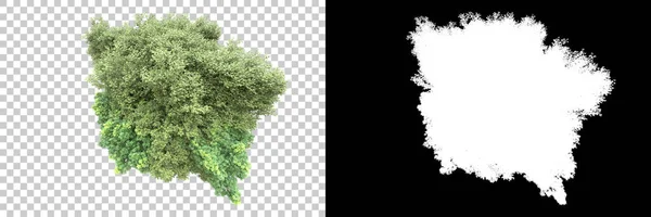 Arka Planda Maskeyle Izole Edilmiş Ağaçlar Görüntüleme Illüstrasyon — Stok fotoğraf