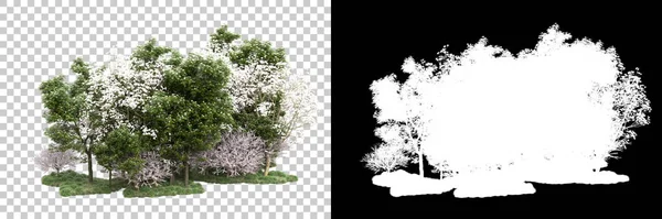Trær Isolert Bakgrunn Med Maske Gjengivelse Illustrasjon – stockfoto