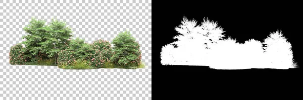 Bäume Isoliert Auf Dem Hintergrund Mit Maske Darstellung Illustration — Stockfoto