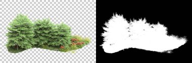 Arka planda maskeyle izole edilmiş ağaçlar. 3d görüntüleme - illüstrasyon