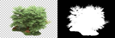 Arka planda maskeyle izole edilmiş ağaçlar. 3d görüntüleme - illüstrasyon