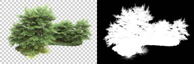 Arka planda maskeyle izole edilmiş ağaçlar. 3d görüntüleme - illüstrasyon