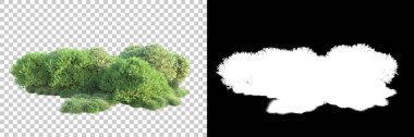 Arka planda maskeyle izole edilmiş ağaçlar. 3d görüntüleme - illüstrasyon