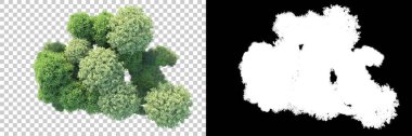 Arka planda maskeyle izole edilmiş ağaçlar. 3d görüntüleme - illüstrasyon