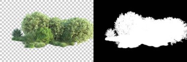 Arka planda maskeyle izole edilmiş ağaçlar. 3d görüntüleme - illüstrasyon