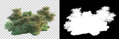 Arka planda maskeyle izole edilmiş ağaçlar. 3d görüntüleme - illüstrasyon