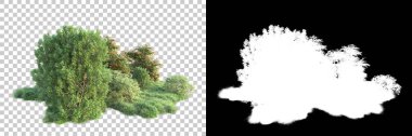 Arka planda maskeyle izole edilmiş ağaçlar. 3d görüntüleme - illüstrasyon