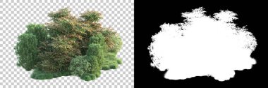 Arka planda maskeyle izole edilmiş ağaçlar. 3d görüntüleme - illüstrasyon