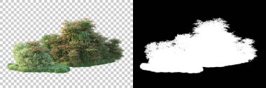 Arka planda maskeyle izole edilmiş ağaçlar. 3d görüntüleme - illüstrasyon