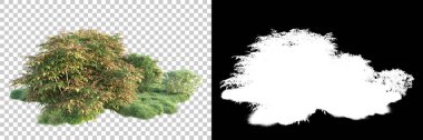 Arka planda maskeyle izole edilmiş ağaçlar. 3d görüntüleme - illüstrasyon