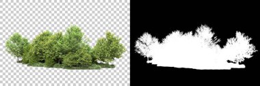 Arka planda maskeyle izole edilmiş ağaçlar. 3d görüntüleme - illüstrasyon