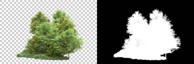 Arka planda maskeyle izole edilmiş ağaçlar. 3d görüntüleme - illüstrasyon
