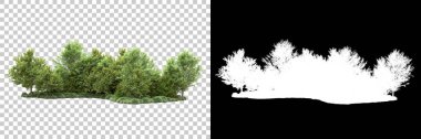 Arka planda maskeyle izole edilmiş ağaçlar. 3d görüntüleme - illüstrasyon