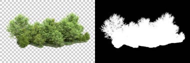 Arka planda maskeyle izole edilmiş ağaçlar. 3d görüntüleme - illüstrasyon