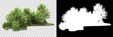 Arka planda maskeyle izole edilmiş ağaçlar. 3d görüntüleme - illüstrasyon