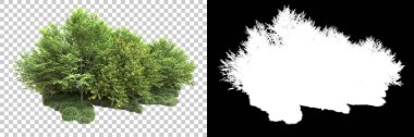 Arka planda maskeyle izole edilmiş ağaçlar. 3d görüntüleme - illüstrasyon