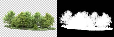 Arka planda maskeyle izole edilmiş ağaçlar. 3d görüntüleme - illüstrasyon