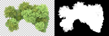 Arka planda maskeyle izole edilmiş ağaçlar. 3d görüntüleme - illüstrasyon