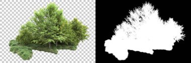 Arka planda maskeyle izole edilmiş ağaçlar. 3d görüntüleme - illüstrasyon