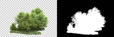 Arka planda maskeyle izole edilmiş ağaçlar. 3d görüntüleme - illüstrasyon