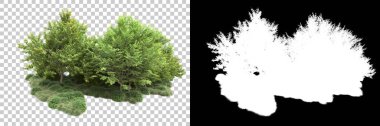 Arka planda maskeyle izole edilmiş ağaçlar. 3d görüntüleme - illüstrasyon