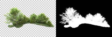 Arka planda maskeyle izole edilmiş ağaçlar. 3d görüntüleme - illüstrasyon