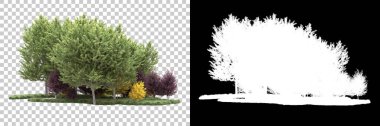 Arka planda maskeyle izole edilmiş ağaçlar. 3d görüntüleme - illüstrasyon