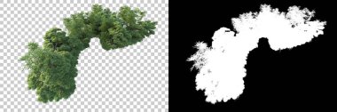 Arka planda maskeyle izole edilmiş ağaçlar. 3d görüntüleme - illüstrasyon