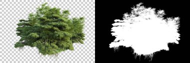 Arka planda maskeyle izole edilmiş ağaçlar. 3d görüntüleme - illüstrasyon