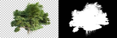Arka planda maskeyle izole edilmiş ağaçlar. 3d görüntüleme - illüstrasyon