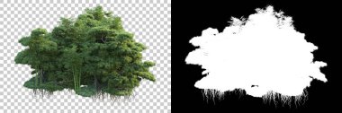 Arka planda maskeyle izole edilmiş ağaçlar. 3d görüntüleme - illüstrasyon