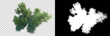 Arka planda maskeyle izole edilmiş ağaçlar. 3d görüntüleme - illüstrasyon