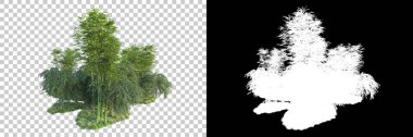 Arka planda maskeyle izole edilmiş ağaçlar. 3d görüntüleme - illüstrasyon