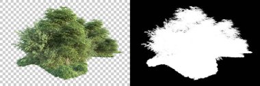 Arka planda maskeyle izole edilmiş ağaçlar. 3d görüntüleme - illüstrasyon