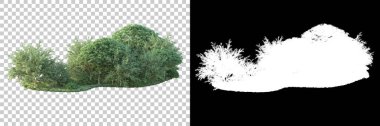 Arka planda maskeyle izole edilmiş ağaçlar. 3d görüntüleme - illüstrasyon