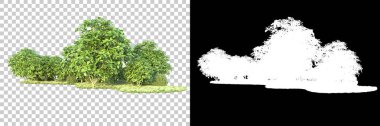 Arka planda maskeyle izole edilmiş ağaçlar. 3d görüntüleme - illüstrasyon