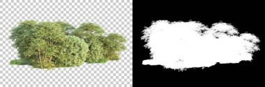 Arka planda maskeyle izole edilmiş ağaçlar. 3d görüntüleme - illüstrasyon