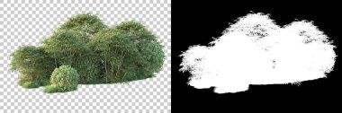 Arka planda maskeyle izole edilmiş ağaçlar. 3d görüntüleme - illüstrasyon
