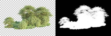 Arka planda maskeyle izole edilmiş ağaçlar. 3d görüntüleme - illüstrasyon