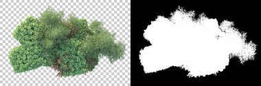 Arka planda maskeyle izole edilmiş ağaçlar. 3d görüntüleme - illüstrasyon