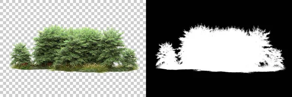 Деревья Изолированы Заднем Плане Маской Рендеринг Иллюстрация — стоковое фото